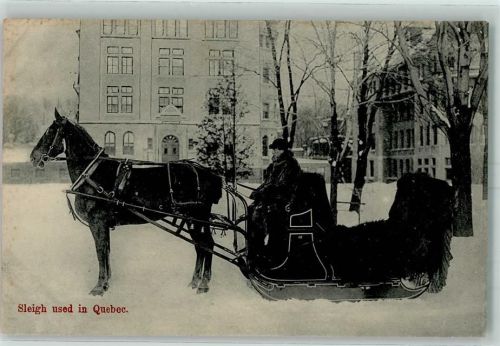 Quebec Pferdeschlitten Winter