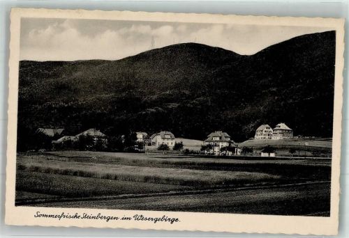Steinbergen