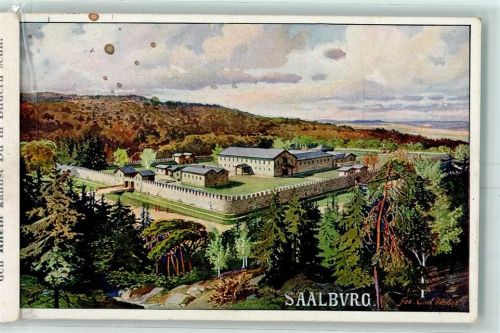 61348 W6380 Bad Homburg v d Höhe 1913 - sign. Carl Nebel Saalburg