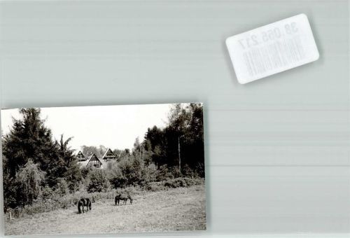 Siegsdorf Ferienpark Vorauf Pferde Ort handschriftlich Foto Original aus Archiv eines Ansichtskartenverlages
