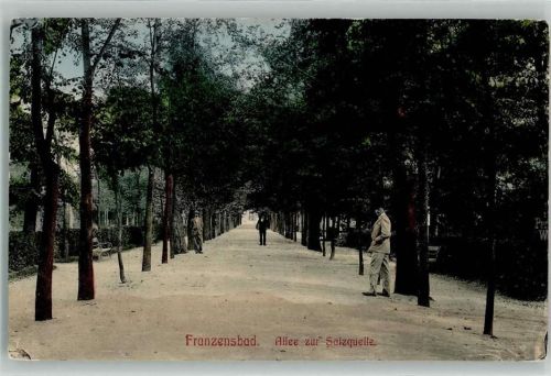 Frantiskovy Lazne Franzensbad