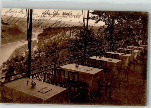 Lohmen 1913 Bastei Weinterrasse