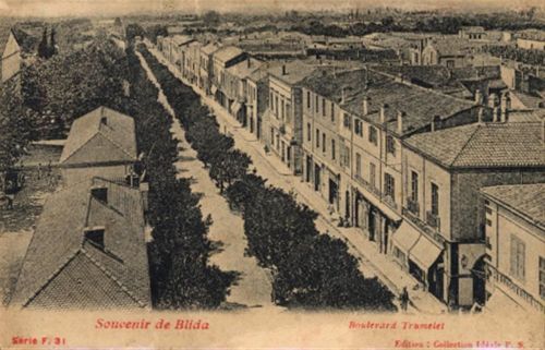 Blida - Blida (Algerien) Leporello II- (Stauchungen, minimaler Einriss, fleckig VS/RS)