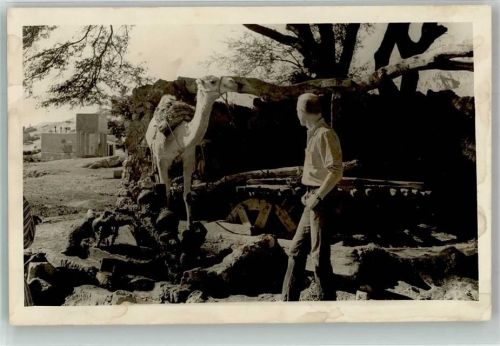 Wasserrad