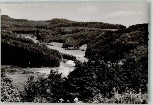 Elsoff Blich ins Äpfelbachtal Ort handschriftlich Foto Original aus Archiv eines Ansichtskartenverlages
