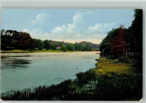 Reinbek 1916 Waldidyll im Sachsenwald