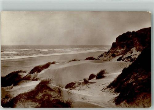 Norderney Dünen