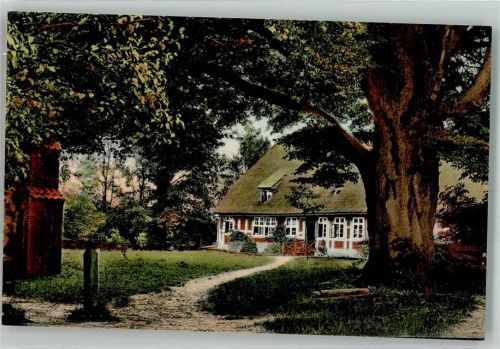 Bispingen Pastorat 500 jährige Linde