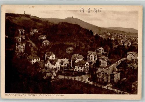 Blankenburg 1915 Panorama des Ortes Verlag Lederbogen Feldpost WK I Halberstadt