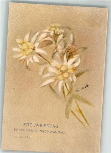 Füssen sign. Hassler H. Edelweißtag 27.Juli 1913