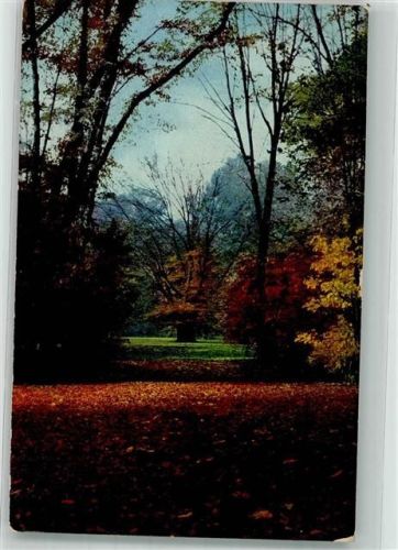 Dresden 1911 Großer Garten im Herbst