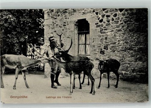 Thale 1913 Förster Wildfütterung Georgshöhe