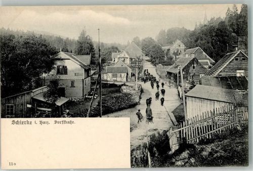 Schierke Viehtrieb durch die Dorfstraße unterhalb der Bergkirche Fotograf Karl Wunder