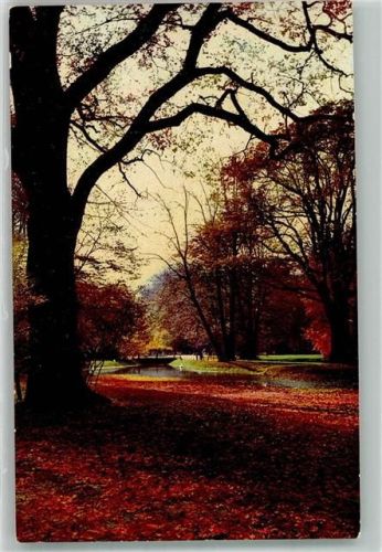 Dresden Großer Garten Photochromie