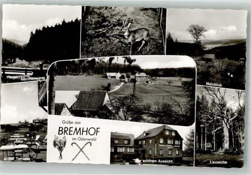 Bremhof Gasthaus Pension zur schönen Aussicht Lauseiche Mainblick Hangenmühle