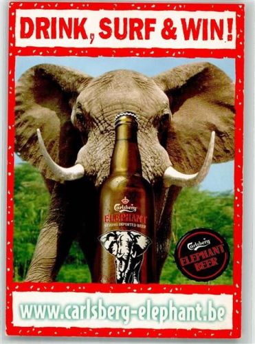 Carlsberg Elephant Bier