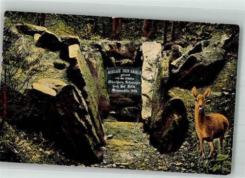 Zell Quelle der Saale Verlag Löffler & Co.Nr. 4080 Hüttenstempel Waldhaus Waldstein