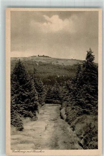 Brocken Goetheweg mit Brockenhotel und Brockenturm Fotograf Rudolphi