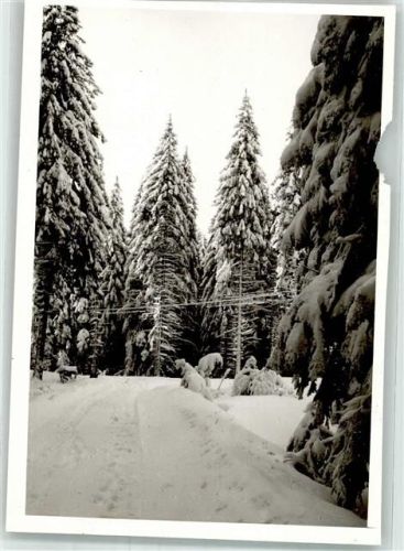 Laibach Winter Ort handschriftlich Foto Original aus Archiv eines Ansichtskartenverlages