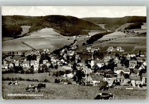 Niedersfeld Panorama des Ortes mit Kirche St. Agatha