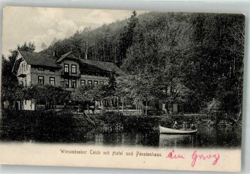Bad Lauterberg 1905 Wiesenbekerteich Hotel Pension