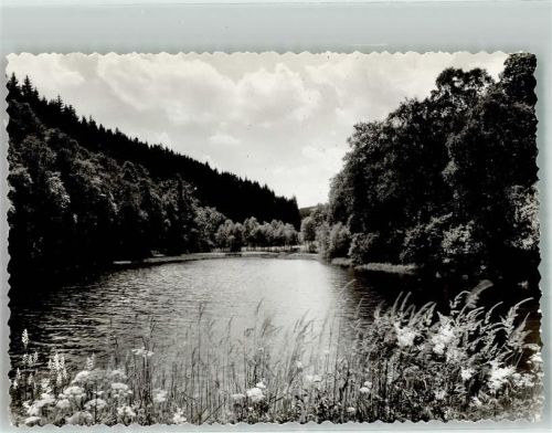 Röspe Weiher Ort handschriftlich Foto Original aus Archiv eines Ansichtskartenverlages