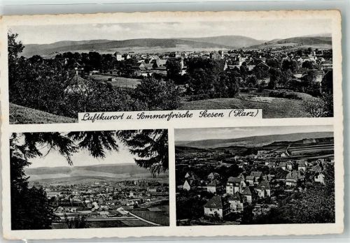 Seesen Panorama des Ortes Verlag Thoericht Nr. 18079