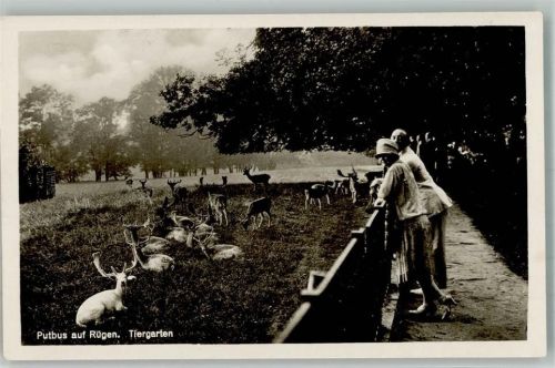 Putbus Wildgehege mit Rotwild Verlag Marre No. 205