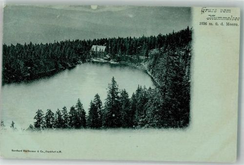 Kappelrodeck Berghotel Mummelsee