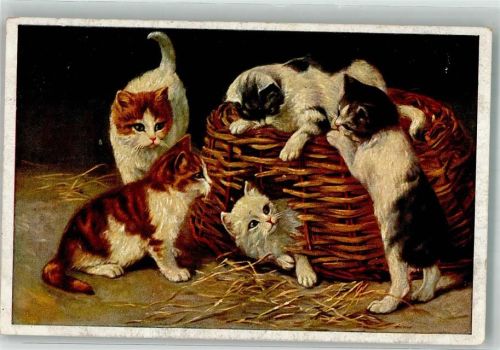 Spielende Katzenkinder in einem Weidenkorb