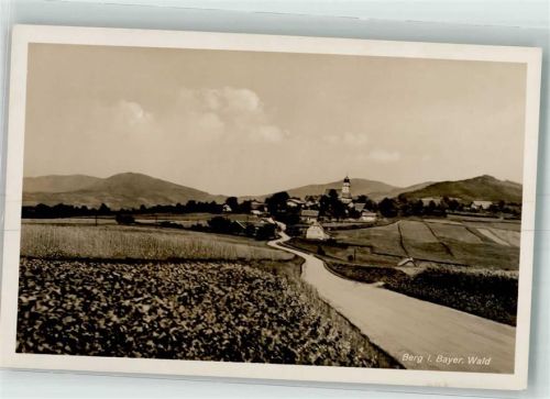 Berg Bayer. Wald