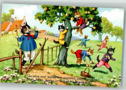 Humor Katzen beim Apfeldiebstahl M.D. No. 2014 B