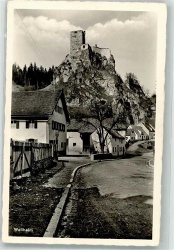Wellheim Burg