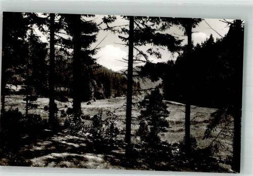 Willingen Hermeketal