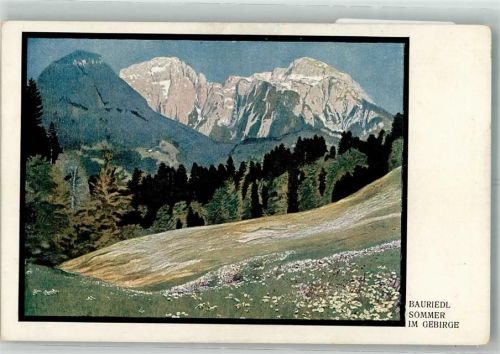 1911 sign. Bauriedl Sommer im Gebirge