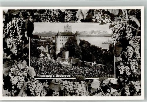 Meersburg Schloss Meersburg eingerahmt von Weinreben