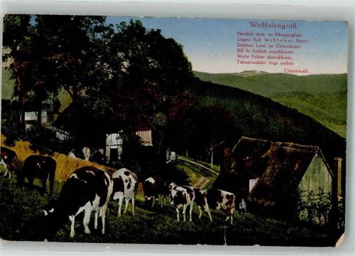 1923 Weidende Rinder vor einem westfälischen Bauernhaus Verlag Kettling & Krüger Nr. 1005