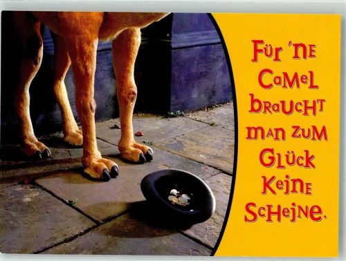 Für `ne Camel braucht man z. Gück keine Scheine
