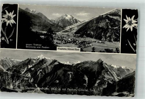 Mayrhofen Penkenbahn Edelweiß