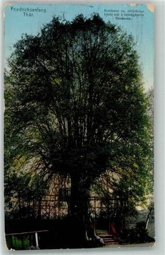 Hildburghausen 1910 Bahnpost Gotha Gräfenroda Zug 1.7.10 800 jährige Linde