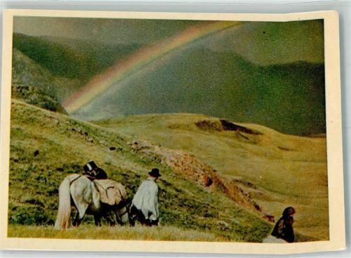 Lörrach Einsames Paar mit Pferd in einer hügeligen Graslandschaft QSL-Karte