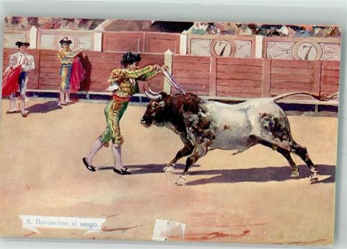 Torero platziert in der Arena seine Banderillas im Stiernacken