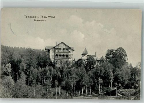 Tambach-Dietharz 1911 Bürstenblick