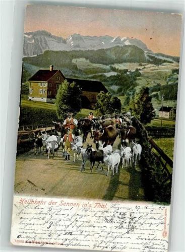 1905 Heimkehr der Sennen ins Tal Rinder Gustav Gläser 12508