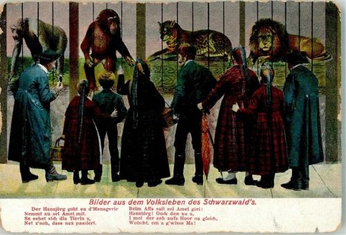 1907 Zoobesucher vor dem Gehege mit Affen Löwen und Tigern Humor