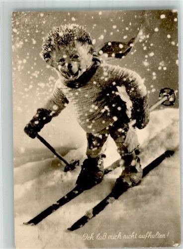 Skifahren Ich laß mich nicht aufhalten