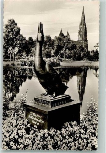 Freiburg Enten Denkmal Münster