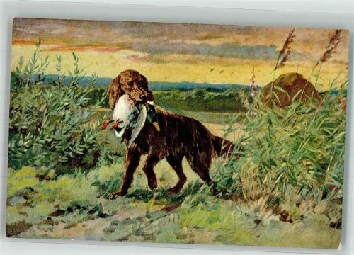 Hund mit einer erlegten Ente im Maul