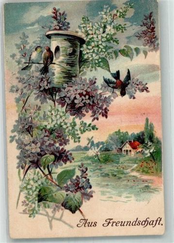 1906 Aus Freundschaft Vogelhaus Vögel