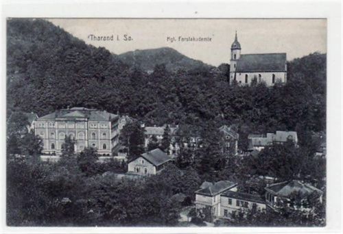 Tharandt mit Kgl. Forstakademie gelaufen von 1909. Gute Erhaltung.